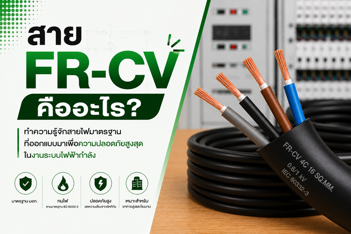 สาย FR-CV คืออะไร? คู่มือสายไฟทนไฟเพื่อความปลอดภัย | ร้าน SAE