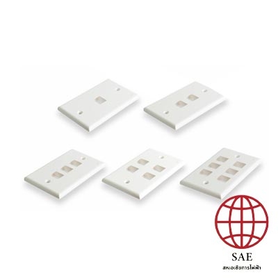 SHINY WHITE FACE PLATE 